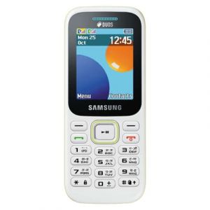  Samsung Guru Music 2 SM-B315E (White)